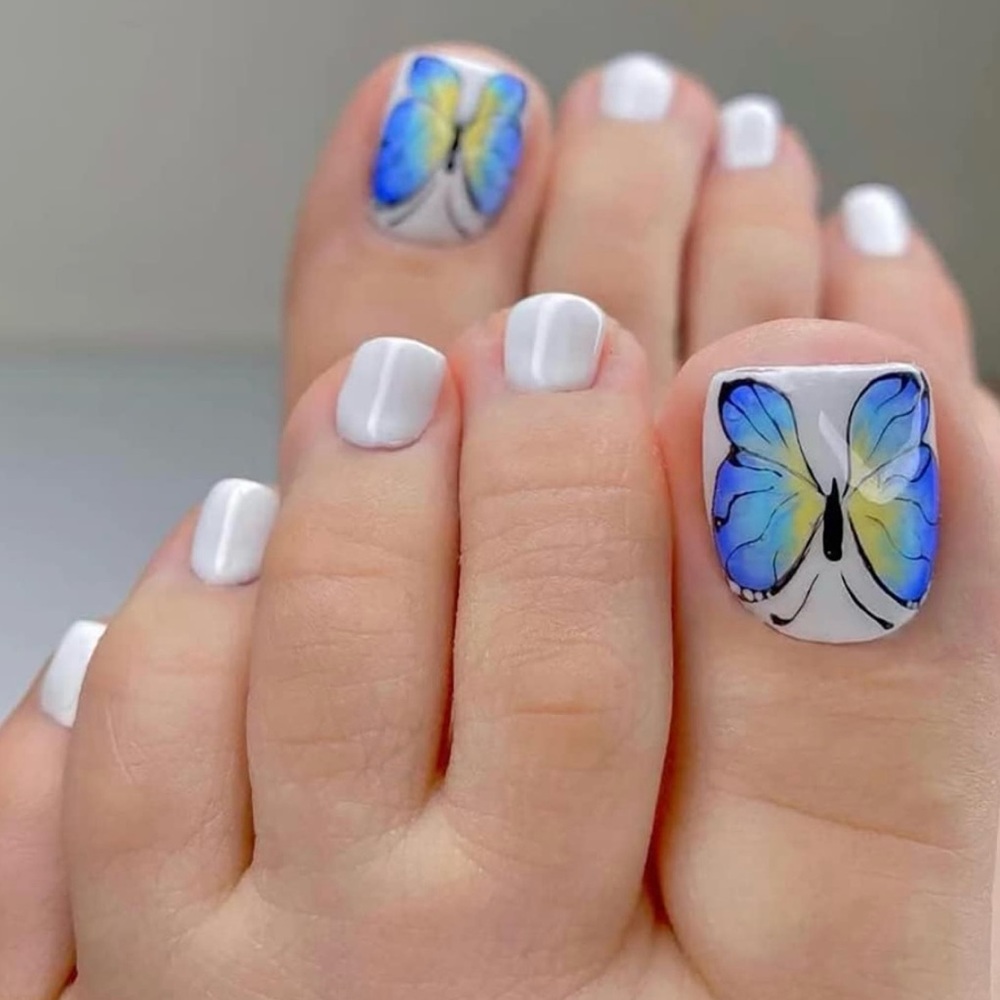 24 piece Toe Nail Kit